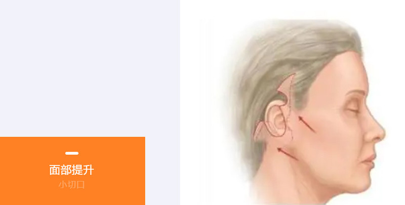 786widsd.jpg