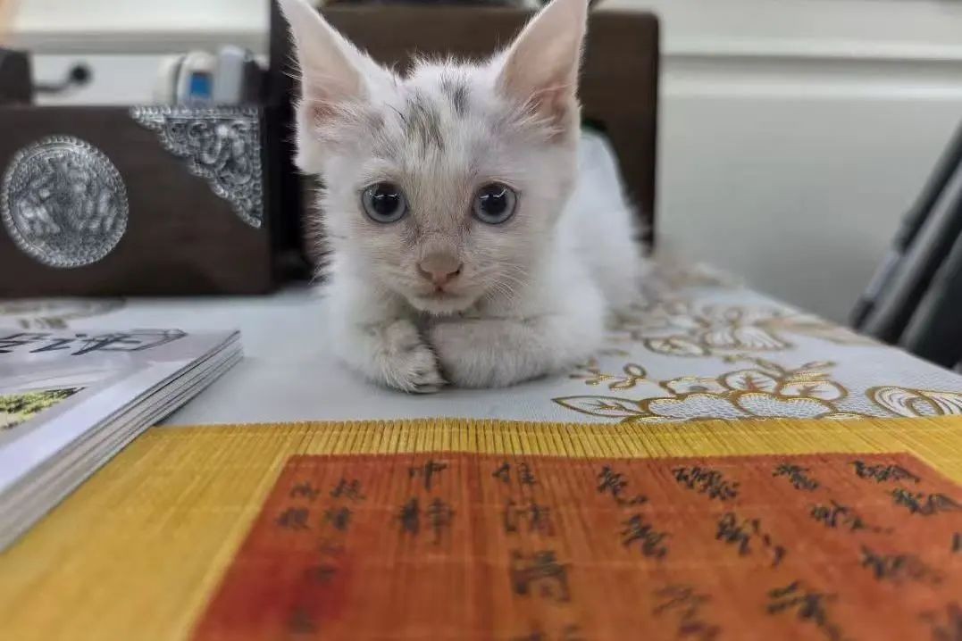 微信图片_20250303084702.jpg