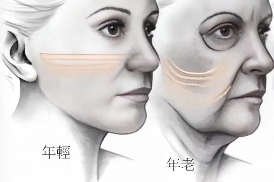 微信图片_20250303084709.jpg