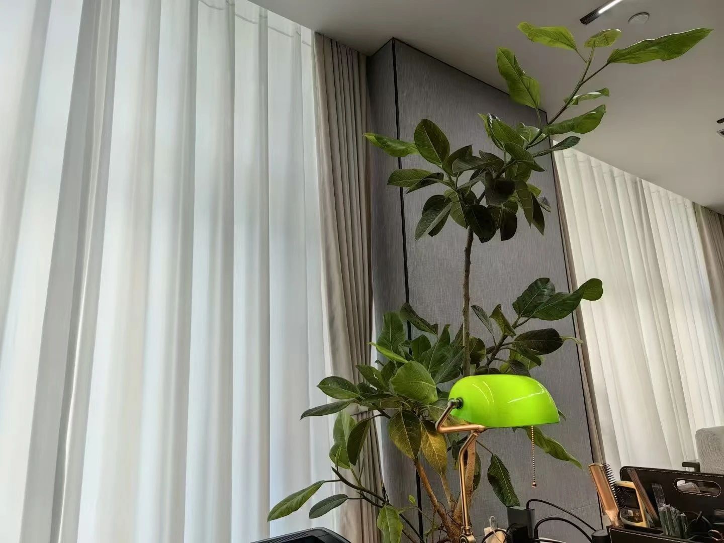 微信图片_20250321104335.jpg