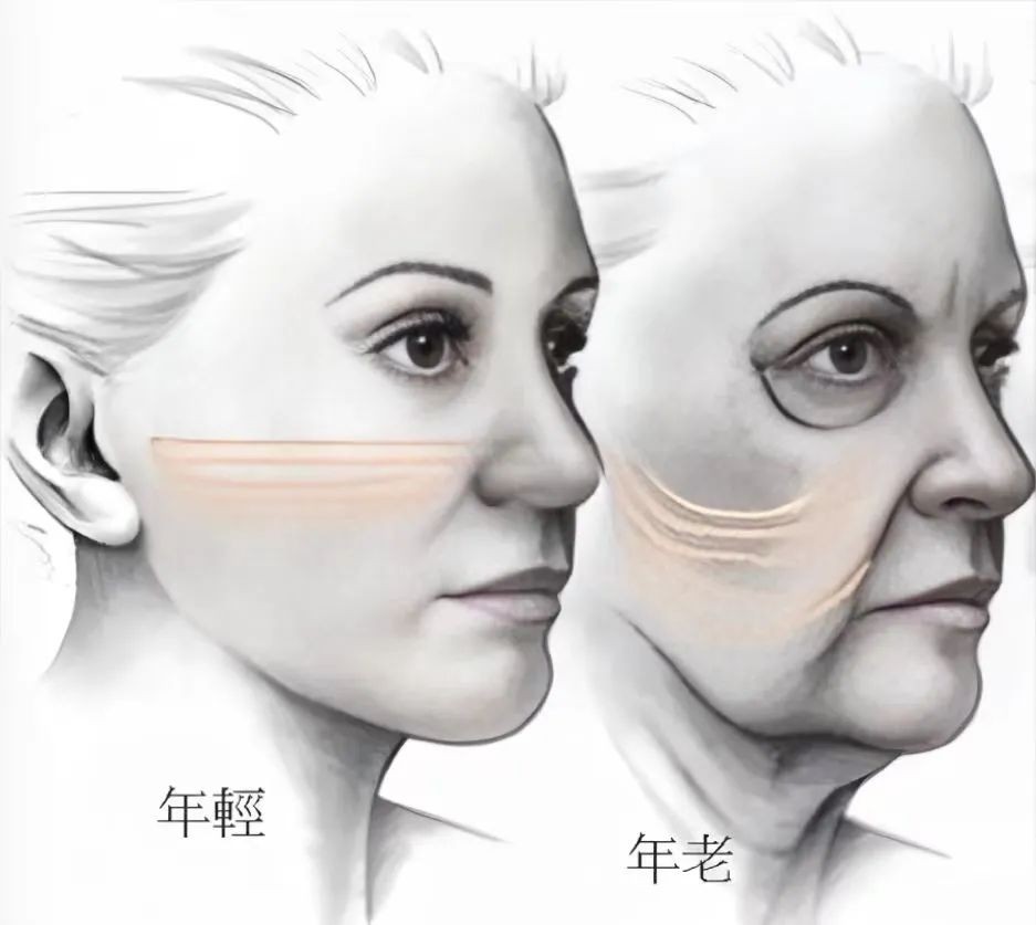 微信图片_20250329120053.jpg